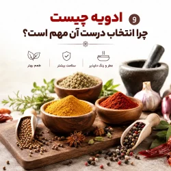 جموعه ادویه‌های قلم و دان برای آشپزی حرفه‌ای