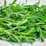 سبزی مرزه