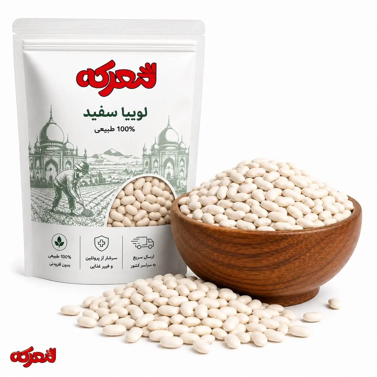 لوبیا سفید لوبیا سفید