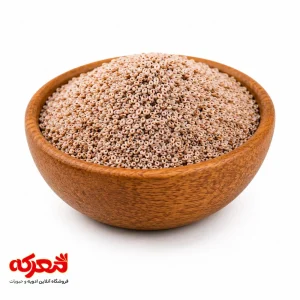 خرید دانه اسفرزه تمیز و لعاب‌دار برای درمان یبوست و کاهش اشتها