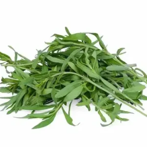سبزی ترخون