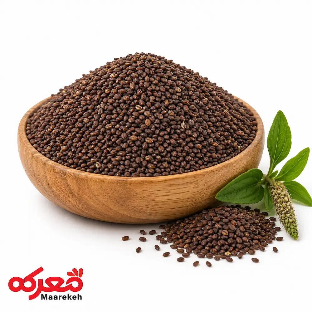 بارهنگ دانه بارهنگ مرغوب و پاکشده، گیاه دارویی برای درمان معده.