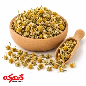 گل بابونه شیرازی