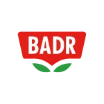 بدر (1)