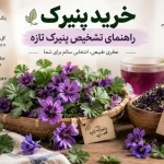 راهنمای تشخصی پنیرک تازه